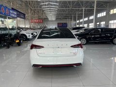 Skoda Octavia PRO TSI280 Luxury Edition - photo 8