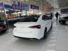Skoda Octavia PRO TSI280 Luxury Edition - photo 9