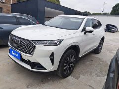 Haval H6 1.5T Two-Wheel Drive Classic Edition - ფოტო 1
