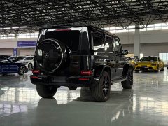 Mercedes-Benz Mercedes-AMG G 63 - фото 18