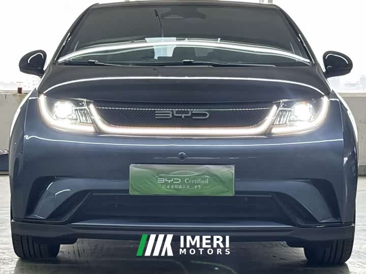 BYD Dolphin 401km Knight Edition - автомобиль из Китая