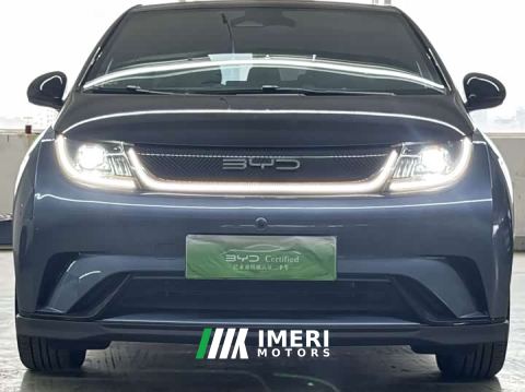 2023 BYD Dolphin 401km Knight Edition