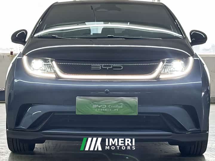 BYD Dolphin 401km Knight Edition