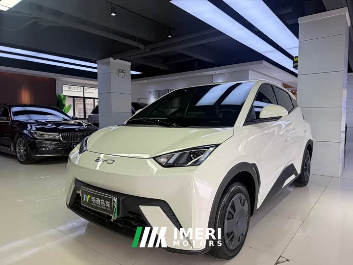 BYD Seagull Glory Edition 305km Vitality Version - ავტომობილი ჩინეთიდან