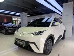 BYD Seagull Glory Edition 305km Vitality Version - ფოტო 1