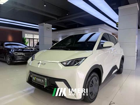 2024 BYD Seagull Glory Edition 305km Vitality Version