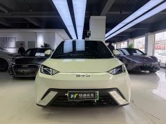 BYD Seagull Glory Edition 305km Vitality Version - ფოტო 2