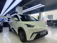 BYD Seagull Glory Edition 305km Vitality Version - ფოტო 3