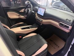 BYD Seagull Glory Edition 305km Vitality Version - ფოტო 7