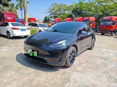 Tesla Model Y Rear-Wheel Drive - фото 1