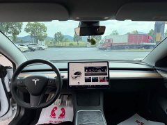 Tesla Model 3 Performance All-Wheel Drive - ფოტო 8