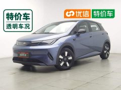 BYD Dolphin Smart Drive 410km Fashion Edition - photo 1