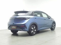 BYD Dolphin Smart Drive 410km Fashion Edition - photo 2