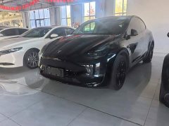Tesla Model Y Standard Range RWD - фото 1