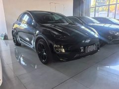 Tesla Model Y Standard Range RWD - фото 2