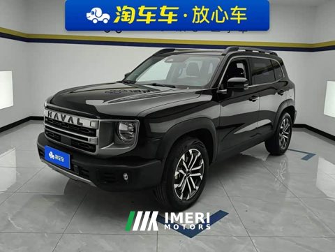 2024 Great Wall Dachshund 1.5T DCT Border Collie Edition - ავტომობილი ჩინეთიდან