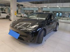 Tesla Model Y Standard Range RWD - фото 1