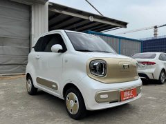 FAW Besturn Xiaoma 222km Dynamic Edition - ფოტო 3
