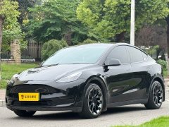 Tesla Model Y Rear-Wheel Drive - фото 1