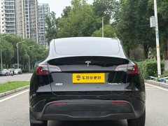 Tesla Model Y Rear-Wheel Drive - фото 10