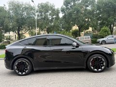 Tesla Model Y Rear-Wheel Drive - фото 16