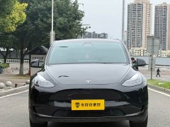 Tesla Model Y Rear-Wheel Drive - фото 2