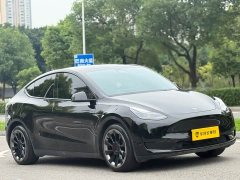Tesla Model Y Rear-Wheel Drive - фото 3