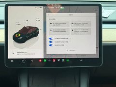 Tesla Model Y Rear-Wheel Drive - фото 8