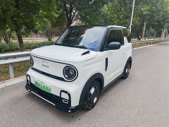Geely Panda 210km Panda Kart - photo 1