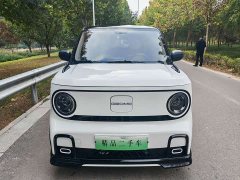 Geely Panda 210km Panda Kart - photo 2