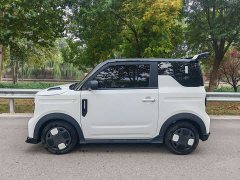 Geely Panda 210km Panda Kart - photo 5