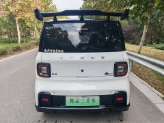Geely Panda 210km Panda Kart - photo 6