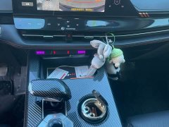 Changan UNI-K 2.0T Excellence - ფოტო 8