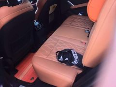 BYD Yuan Plus DM-i Champion Edition 112KM Honor Trim - photo 11