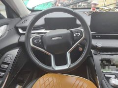 Haval H6 New Energy DHT-PHEV 110KM Joy Edition - photo 11