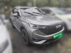 Haval H6 New Energy DHT-PHEV 110KM Joy Edition - photo 3