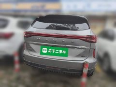 Haval H6 New Energy DHT-PHEV 110KM Joy Edition - photo 5