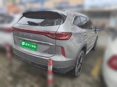 Haval H6 New Energy DHT-PHEV 110KM Joy Edition - photo 6