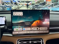 Geely Galaxy A7 EM 235km Explorer Edition - ფოტო 11