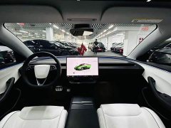 Tesla Model 3 High Performance All-Wheel Drive - ფოტო 8
