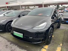 Tesla Model Y Long Range All-Wheel Drive - ფოტო 1