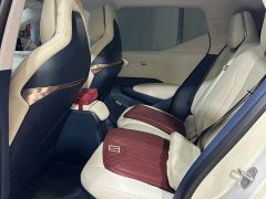 Zeekr X Four-Wheel Drive YOU Edition 4-Seater - photo 9
