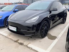 Tesla Model Y Standard Range RWD - photo 1