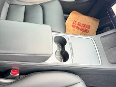 Tesla Model Y Standard Range RWD - photo 20