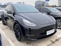 Tesla Model Y Standard Range RWD - photo 3