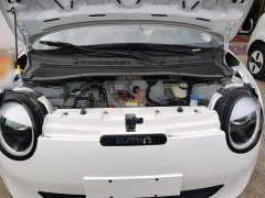 Changan Lumin 301km Honey Scent Edition - photo 19