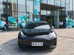 Tesla Model 3 Rear-Wheel Drive - ფოტო 2