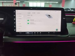 XPeng P7 480N - ფოტო 12