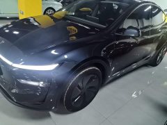 Tesla Model Y Rear-Wheel Drive - ფოტო 1