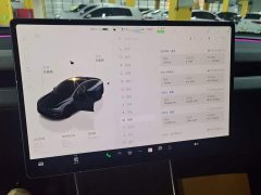 Tesla Model Y Rear-Wheel Drive - ფოტო 12